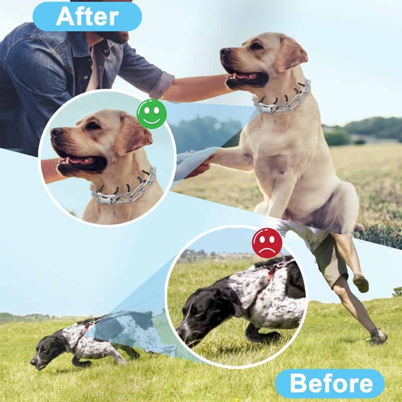 No Pull Dog Adjustable Collar with Buckle for Small Medium Large Dogs S(13-17" Neck, 2.25mm)