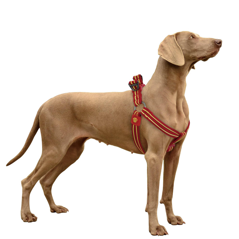 DOCO Solar Air Step-in Reflective Dog Mesh Harness for Walking Medium (Chest: 1" x 20-28") Gray - PawsPlanet Australia