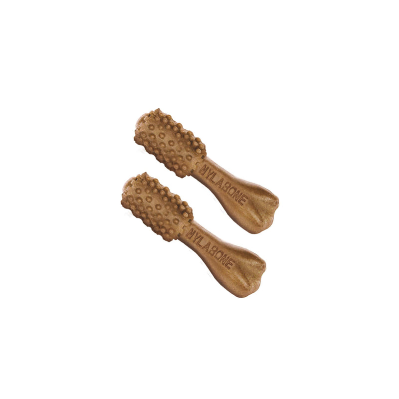 Nylabone Nutri Dent Dog Dental Chews - Natural Dog Teeth Cleaning & Breath Freshener - Dental Treats for Dogs - Filet Mignon Flavor, Mini (160 Count) 28.2 Ounce (160 Count) - PawsPlanet Australia