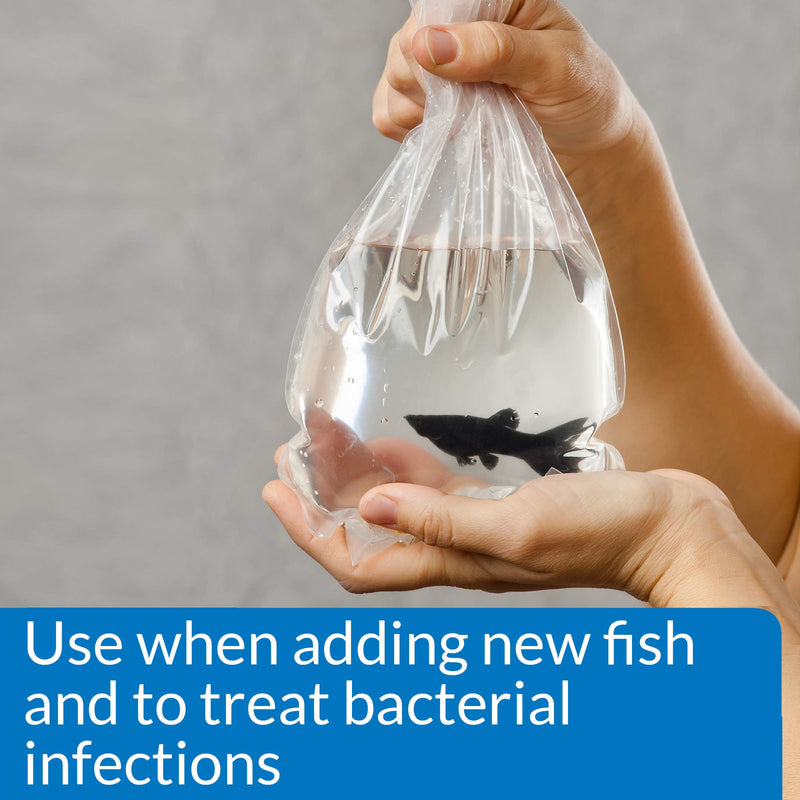 API Aquarium Salt and Bacterial Infection Remedy Bundle for Freshwater Aquariums 65 oz Aquarium Treatment + Treatment, 11H