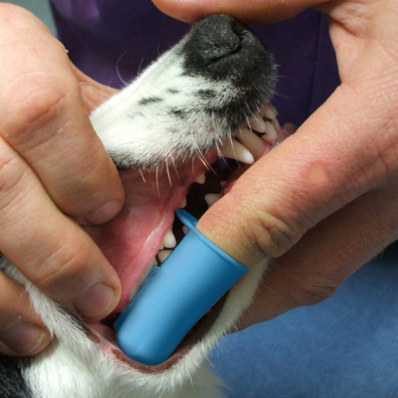 Pet Republique Dog Finger Toothbrush Set of 6 - Dental Hygiene Brushes for Small to Large Dogs, Cats, and Most Pets - Small Size Finger Opening Blue 6 Count (Pack of 1)