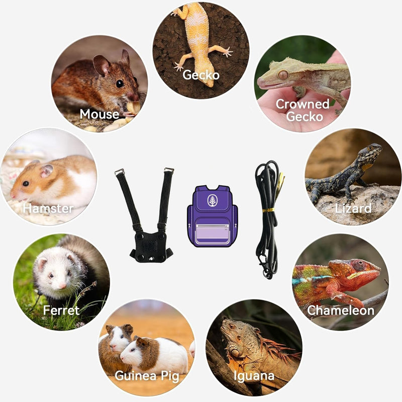 Bearded Dragon Harness Leash Soft Leather Harness with Backpack Patch Adjustable Strap Outside Walk Training Leash for Reptile Lizard Amphibians (Purple) Purple - PawsPlanet Australia