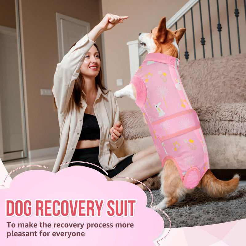 Lukovee Recovery Suit for Dogs, Zipper On Recovery Suit for Female Male Dog, Onesie Abdominal Wounds Cone E-Collar Alternative Prevent Licking Spay Recovery Suit (M, 2PI) A-Pink Medium