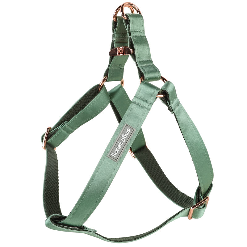 Lionet Paws Dog Harness, No-Pull Adjustable Silk Nylon Webbing Pet Harness with Metal Buckle for Small Dogs Easy Walking, Grass Green, S - PawsPlanet Australia