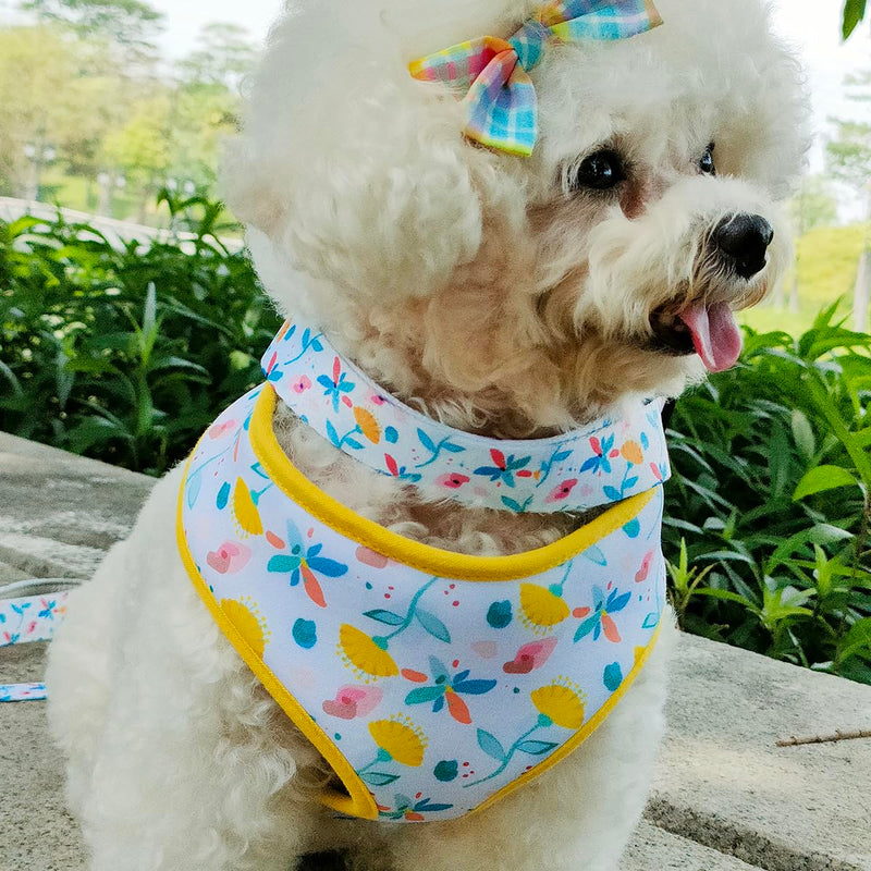 Reversible Prints Dog Harness Pet Harnesses for Extra Small Medium Large Dogs Soft Breathable Adjustable Puppy Vest for Easy Walking (Blue, Medium) Blue - PawsPlanet Australia