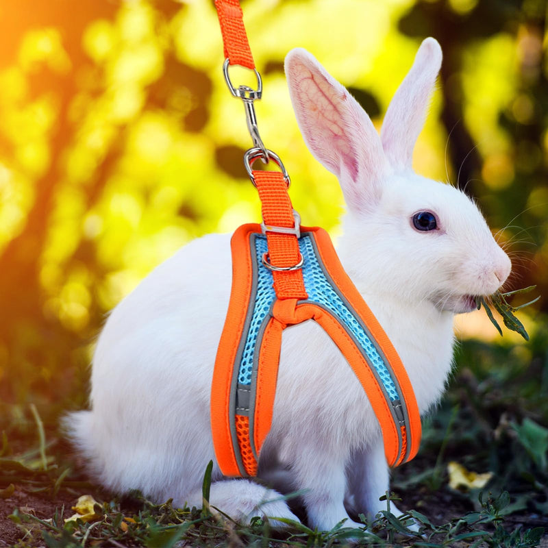 2 Pack Rabbit Harness and Leash Set, Double Buckle Bunny Harness with Reflective Strips Soft Breathable Mesh Vest Harness for Rabbits Walks Accessories XXS Orange and Green