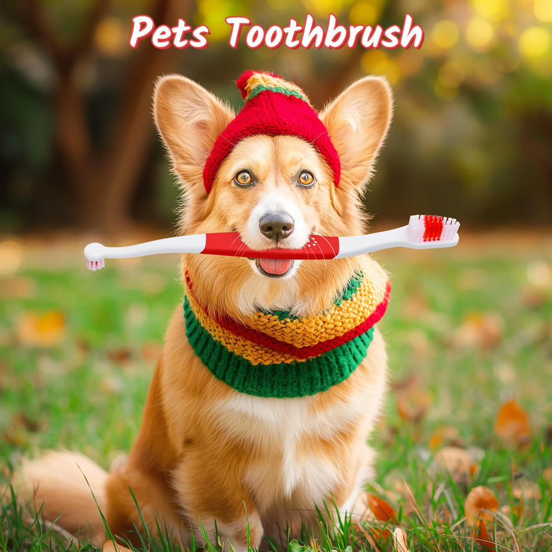 3 Pack Dog Toothbrush for Pet Small and Large Breed Dogs Cats with Soft Bristles, Dual Head Puppy Toothbrushes Kit in Bulk, Non Slip Individual Packing, 360 Easy Teeth Cleaning and Dental Care 3 Count (Mix) - PawsPlanet Australia