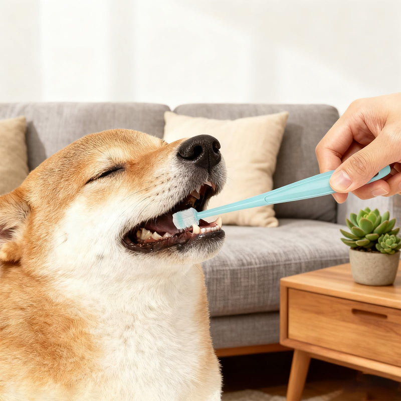 Cat Dental Care Toothbrush Set - 3 Pieces Cat Toothbrush + 2 Pieces 360 Degree Toothbrush, Soft Silicone Toothbrush, Reusable for Small Pets Dogs and Cats in Pink, Blue, Green