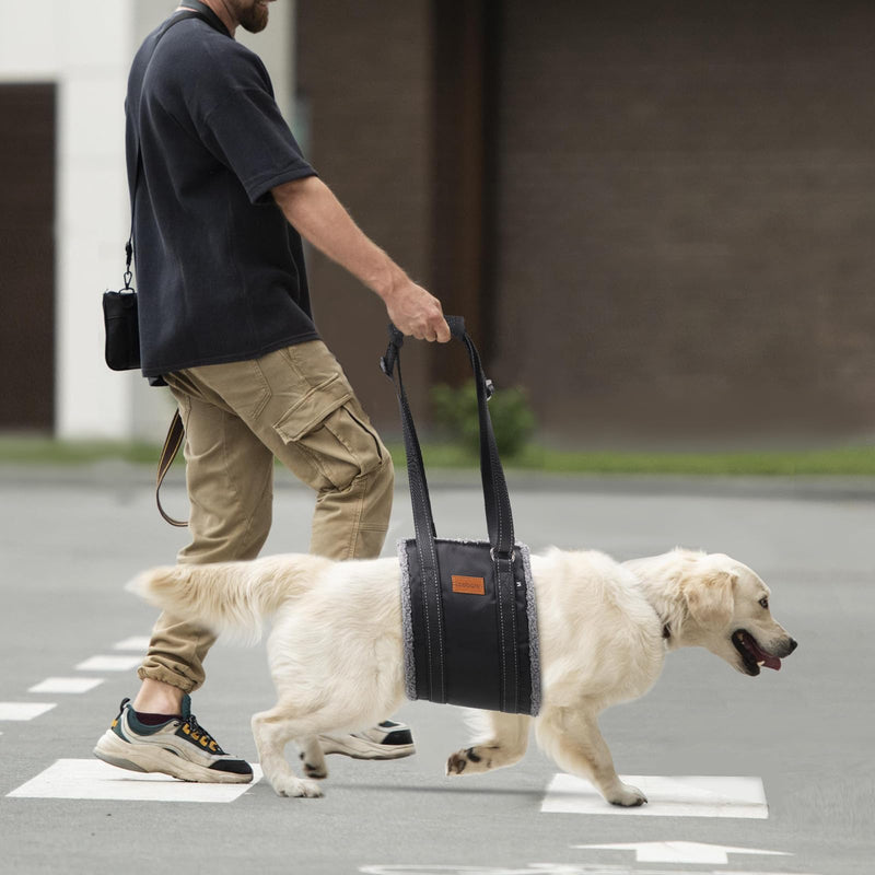 LOOBANI Portable Dog Sling for Back Legs, Hip Support Harness to Help Lift Dogs Rear for Canine Aid and Old K9 Cruciate Ligament Rehabilitation Large-grey - PawsPlanet Australia