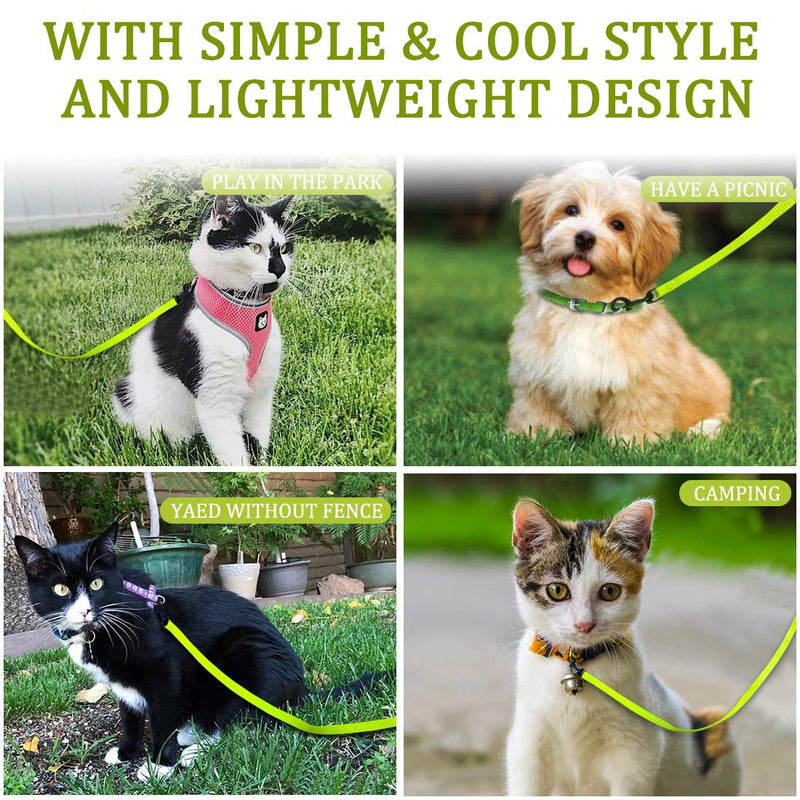 2 Pack Dog and Cat Leash With Easy to Use Collar Hook - Strong and Durable for Small and Medium Pets - Includes Collapsible Pet Bowl (Set 3-Black+Green) Set 03-Black+Green 2/3"x 5 FT - PawsPlanet Australia