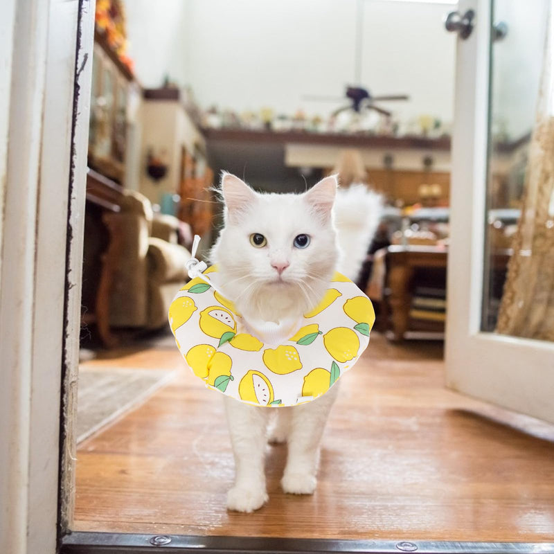 Recovery collar for cats after surgery, made of cotton with comfortable protection against licking or scratching, in yellow color, for the recovery phase