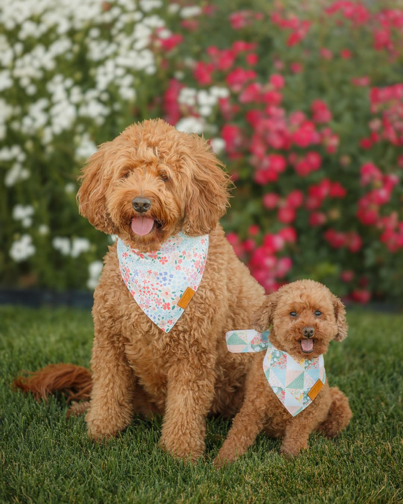 Remy+Roo Spring Dog Bandanas - 4 Pack Taylor Set | Premium Durable Adjustable Polyester Fabric | Patented Shape Girl Dog Bandana, Floral Bandana for Dogs (Small)