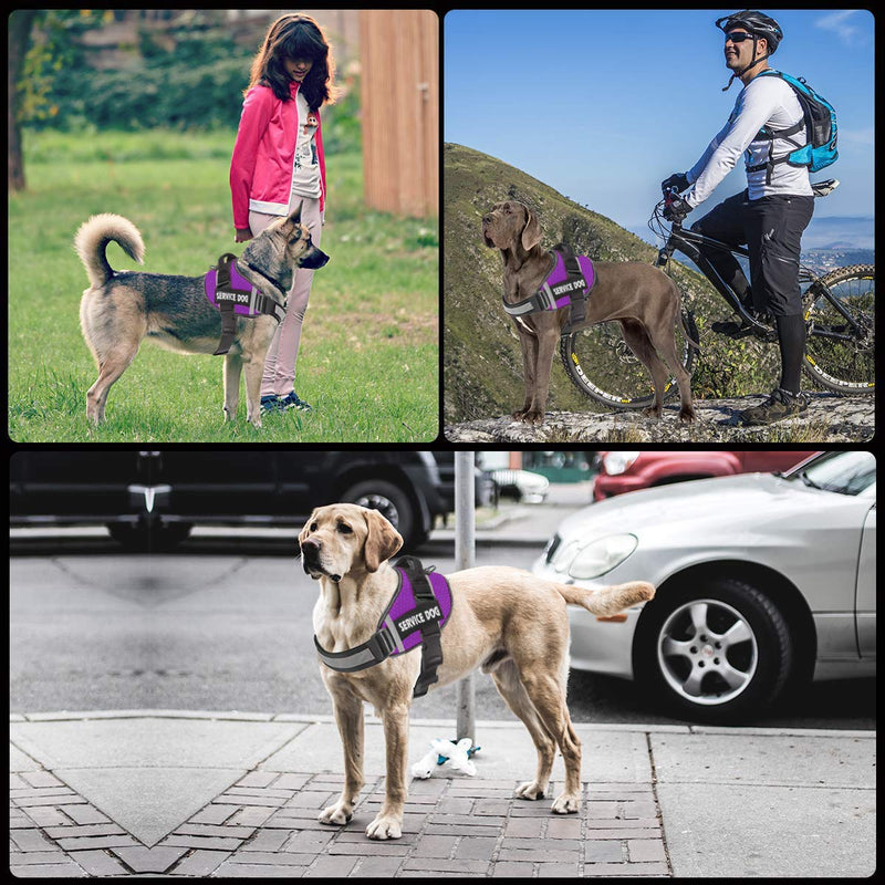 JSXD Dog Harness,No-Pull Service Dog Harness with Handle Adjustable Outdoor Pet Dog Vest 3M Reflective Nylon Material Vest for Breeds,Easy Control for Small Medium Large Dogs M Purple - PawsPlanet Australia