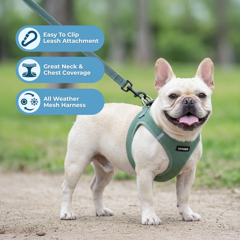 Best Pet Supplies Voyager Step-in Air All Weather Mesh Harness and Reflective Dog 5ft Leash Combo with Neoprene Handle, for Small, Medium and Large Breed Puppies - Set (Moss Green), X-Small Harness Leash Set (Moss Green) XS (Chest: 13 - 14.5")