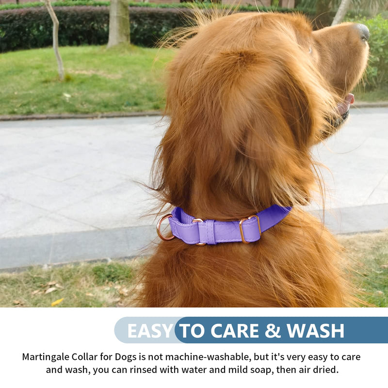 Soft Leather Martingale Dog Collar - Adjustable Rose Gold Limited Slip Collars [Easy to Clean], Stylish Durable Heavy Duty Nylon No Pull Training Collar for Small Medium Large Dogs M Purple M (Neck 14"-21", Width 1") - PawsPlanet Australia