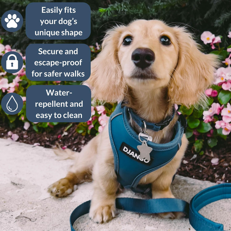 DJANGO Adventure Dog Harness – Comfortable, Durable, and Reflective Neoprene Dog Harness for Outdoor Adventures and Everyday Wear – Adjustable Design with Solid Brass Hardware (Small, Indigo Blue) S