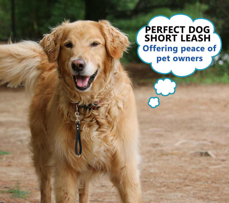 Short Dog Leash - 9 Inch Dog Leash Heavy Duty Traffic Leash for Dogs Short Leash for Dog Training Control, Waterproof PVC Dog Training Leashes Dog Grab Tab Dog Short Leash (Black, 9'') 9'' Black - PawsPlanet Australia