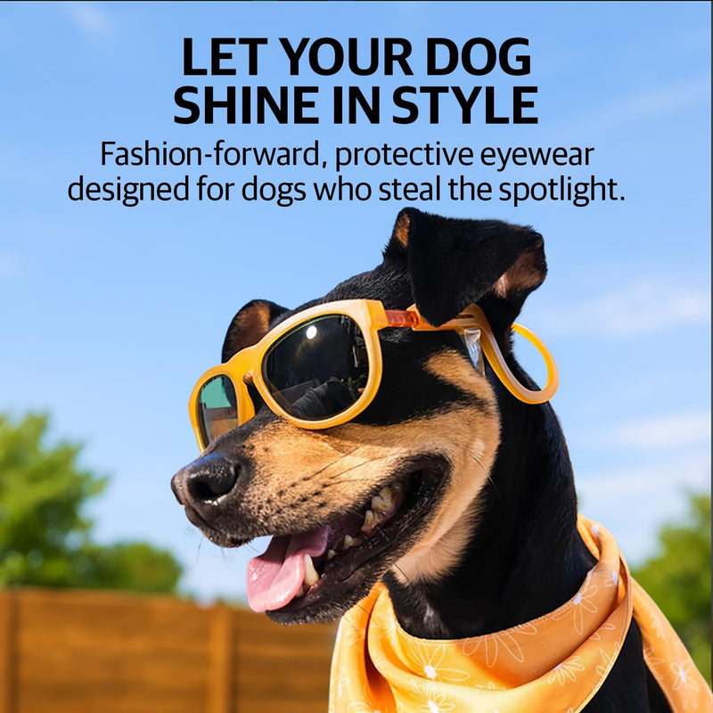 King Sunglasses for Dog - UV Protective Lenses, Debris Protection, Pannus Prevention, Invisible Chinstrap, Interchangeable Lenses, NYC Design - Sunrise, Medium - PawsPlanet Australia