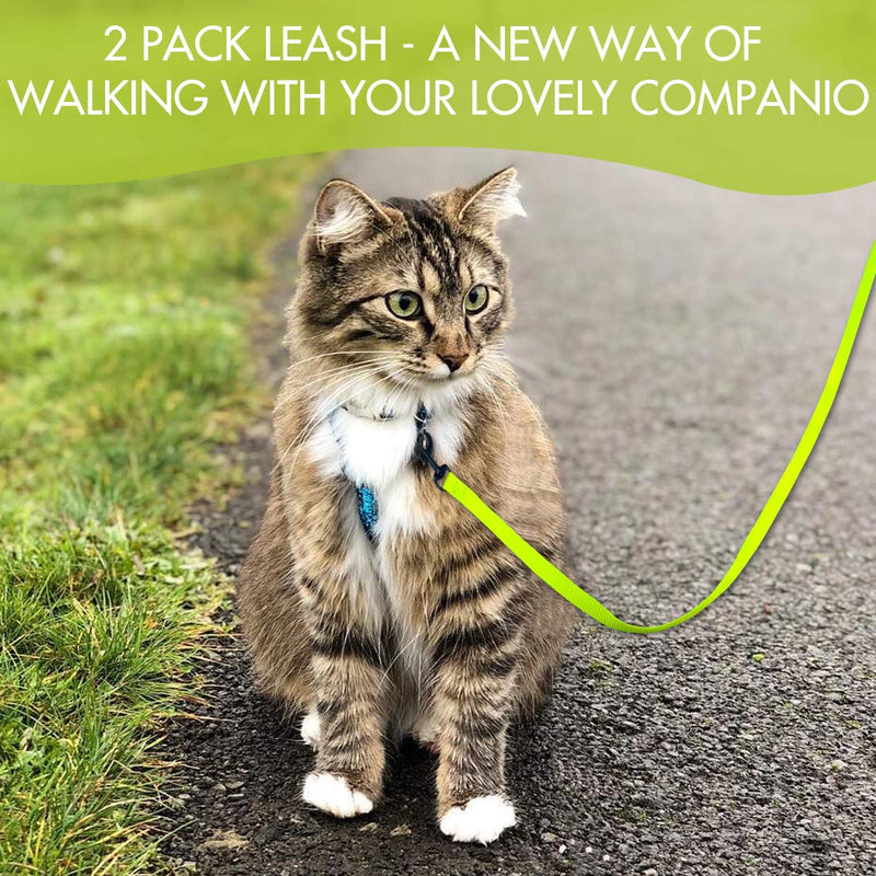 2 Pack Dog and Cat Leash With Easy to Use Collar Hook - Strong and Durable for Small and Medium Pets - Includes Collapsible Pet Bowl (Set 3-Black+Green) Set 03-Black+Green 2/3"x 5 FT - PawsPlanet Australia
