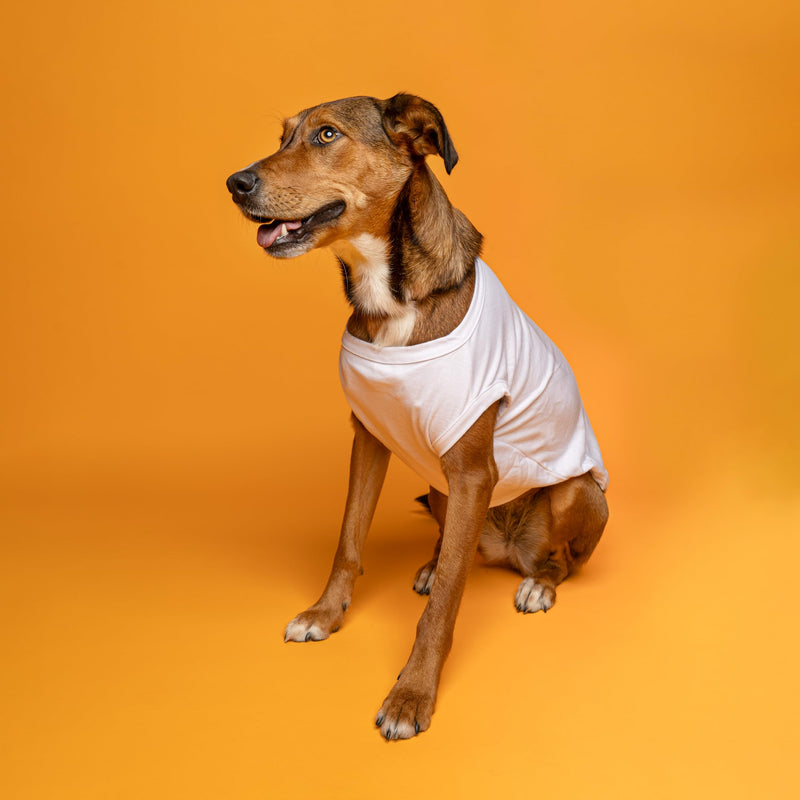 Promoted to Big Brother Boho Dog Tee Shirt | Sleeveless | Pregnancy Announcement | New Baby | Gender Reveal | Photoshoot (White, 4X-Large 691) White - PawsPlanet Australia