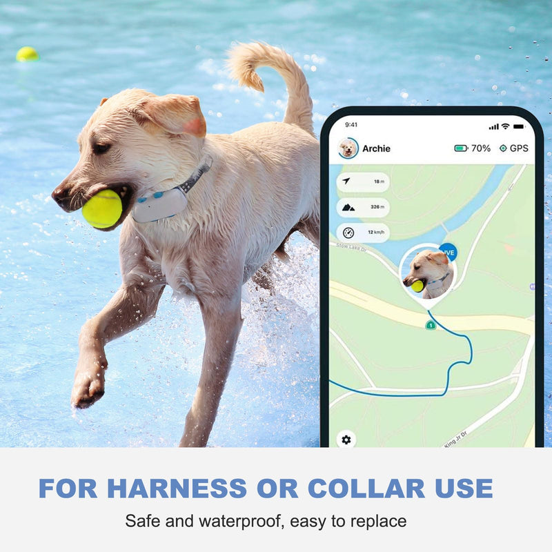 Dog GPS Tracker Rubber Clip Compatible with Tractive GPS Dog Location Activity Tracker Replacement Rubber Attachment Clips - Pack of 4 - PawsPlanet Australia