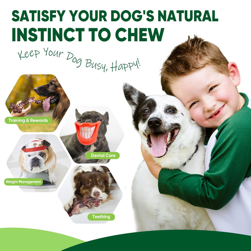 Dog Toys, 3-Pack Indestructible Dog Chew Toys for Aggressive Chewers, Nylon Durable Dog Toys for Medium Large Breed, Bacon Flavored Tough Dog Bones Chew Toys for Super Chewer Dentalbone - PawsPlanet Australia