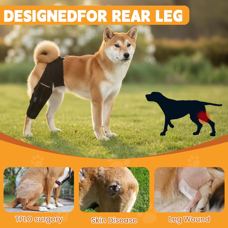 Dog Knee Brace for Hind Leg – Adjustable Rear Leg Support with 2 PP Resin Bars, Helps Torn ACL, Ligament Injuries, Luxating Patella & Hip Dysplasia Recovery for Left/Right Hind Leg (M)