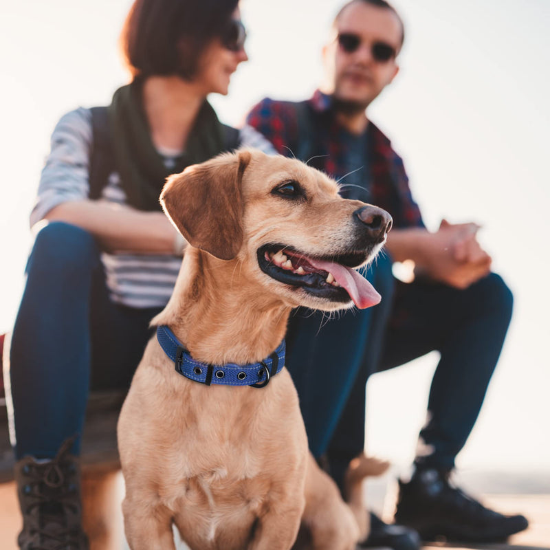Fida Heavy Duty Dog Collar, Ultra Comfortable Soft Neoprene Padded, Adjustable Reflective Nylon Pet Collar with Durable Metal Belt Buckle for Small Breeds (S, Blue) Small(11”-14.5“) - PawsPlanet Australia