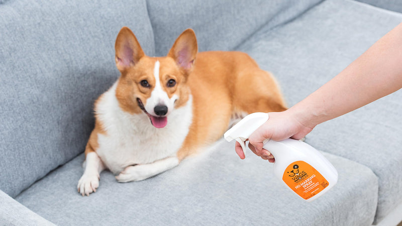 Wags & Wiggles No Marking Deterrent Training Spray for Dogs - Indoor Dog Pee Repellent & Behavior Aid, Anti Pee & Urine Deterrent, No More Marking, Ideal for Potty Training - PawsPlanet Australia