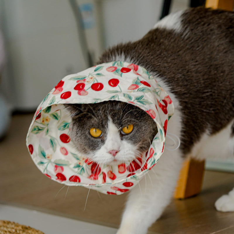 OMEM Soft Cat Cone for Post-Surgery Recovery, 100% Cotton, Adjustable and Foldable, E-Collar, Comfortable, Hand Washable, Prevents Wound Licking for Cats and Kittens (Berry)