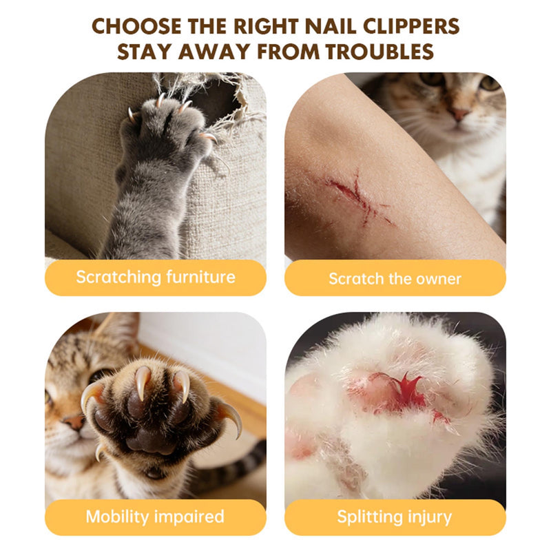 pet nail clippers and electric nail file with LED light, nail file and nail grinder, suitable for dogs and cats, white. - PawsPlanet Australia