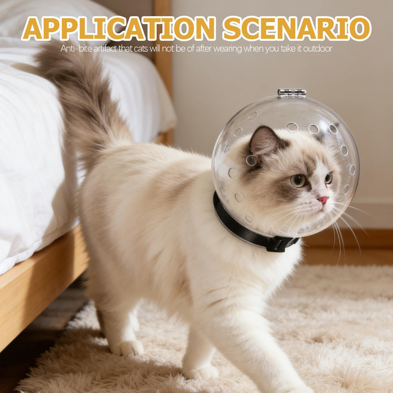 Alipis cat headgear made of ABS with decorative collar and adhesive white. Creative design for safe outdoor head protection for cats. Random style.