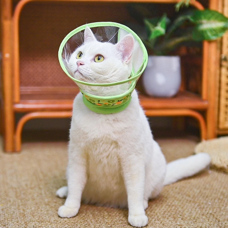 PUPTECK Cat Cone Collar Soft for Neck, Cat Recovery Collar to Stop Licking After Surgery, Adjustable Elizabethan Pet Collar for Small Medium Cats Kittens, Green, M