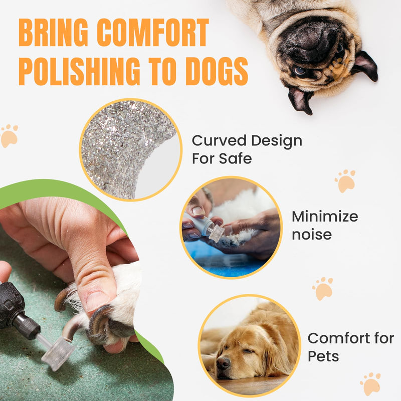 CAELUM Diamond-Coated Pet Nail Grinder Bit, 1/8” Shank for Dremel Nail Tools, Durable & Low-Noise Nail Trimmer for Dogs, Top & Side Grinding, Gentle, Precise Nail Grooming（80grit） 1pcs-80Grit - PawsPlanet Australia