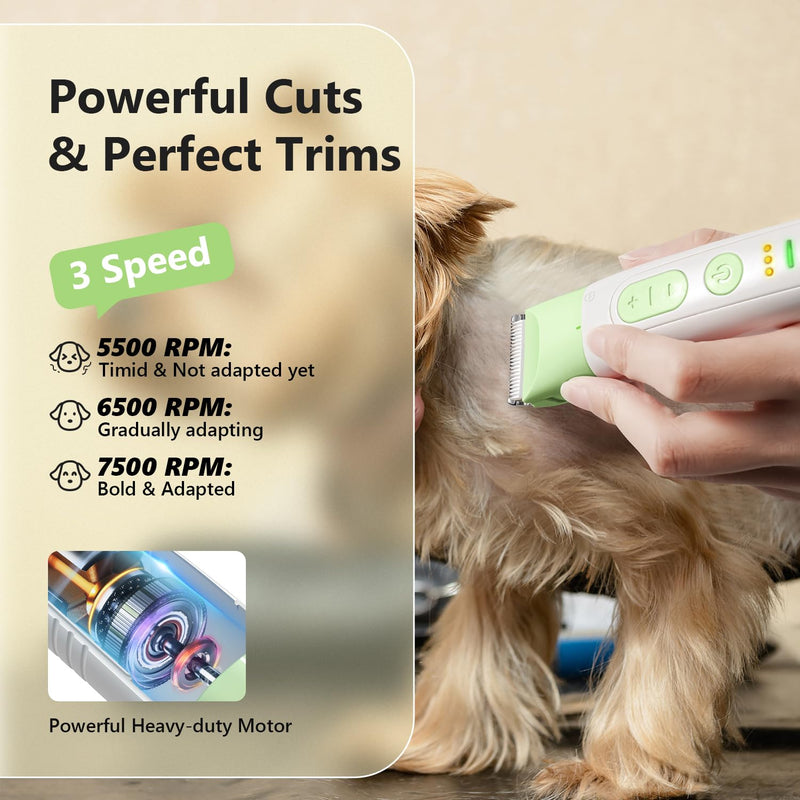 Dog Grooming Kit, 4 in 1 Pet Clippers for Grooming Supplies, Cordless Dog Paw Trimmer Nail Grinder, Professional Long Hair Shaver for Matted Hair Cat Small Dogs Thick Coats - PawsPlanet Australia