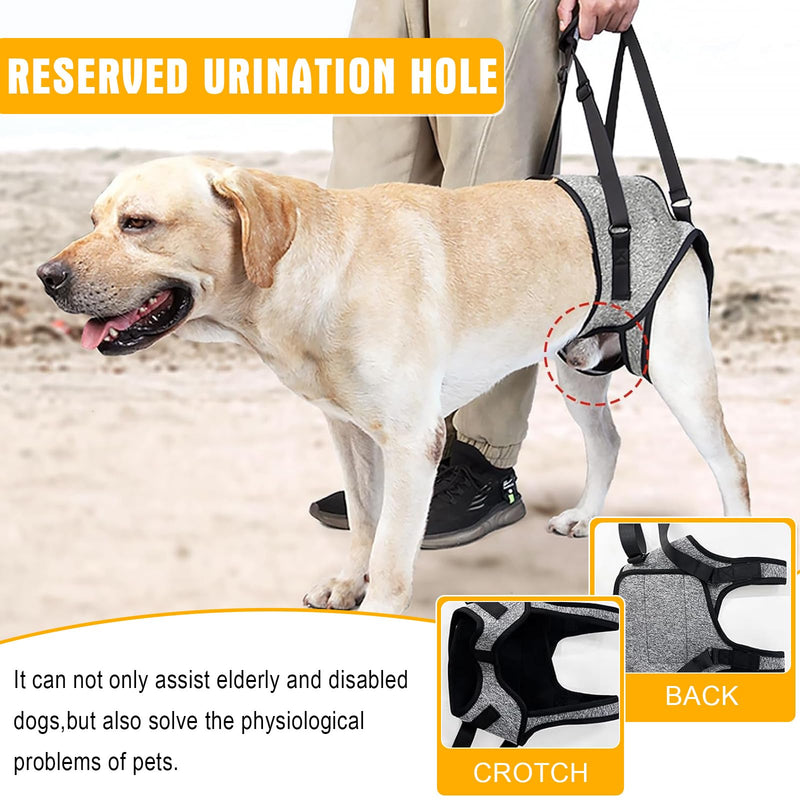 Risipu Dog Lifting Harness For Back Legs Dog Sling Support For Small Medium Large Adjustable Dogs Leg Support With Lift Handle Soft Assistance For Senior, Injured, Arthritic, etc. (Grey, L) Grey