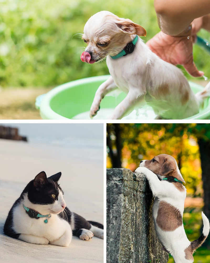 Dynmeow Dog Cat Collar Holder Compatible with Airtag, Anti-Lost Silcione Holder for 3/8 and 5/8 Inch Wide Collars, Black, S(1 Pack) Small(1 Pack) - PawsPlanet Australia