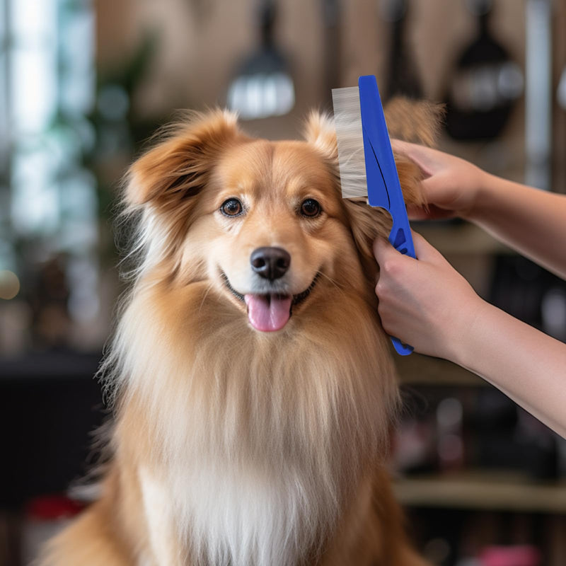 Pet Grooming Comb Sets for Cats and Dogs,Cuteabc 5 Pcs Comb Set Include Double-sided Dog Eye Comb/Dematting Comb/Flea Lice Combs and Grooming Comb Multipurpose Tools for Pet Cat Dogs Grooming - PawsPlanet Australia