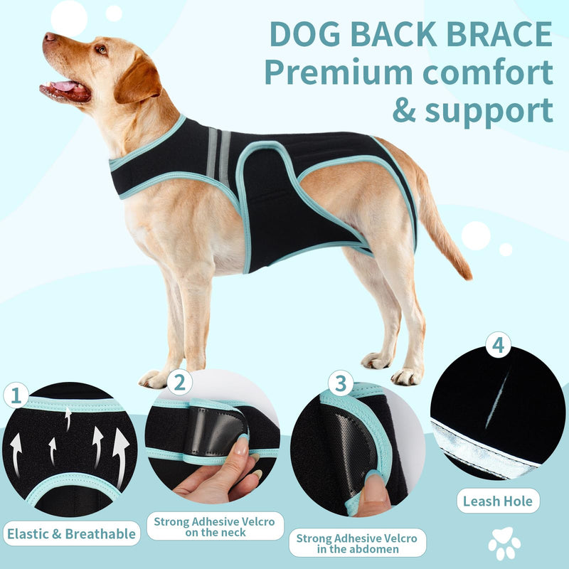 PUMYPOREITY Dog Back Brace for Arthritis, Dog Hip Brace for IVDD, Reflective Frame Support Harness for Back, Hip Brace Support, Keeps Back Stable and Reduces Movement Pains(2XL) 2XL