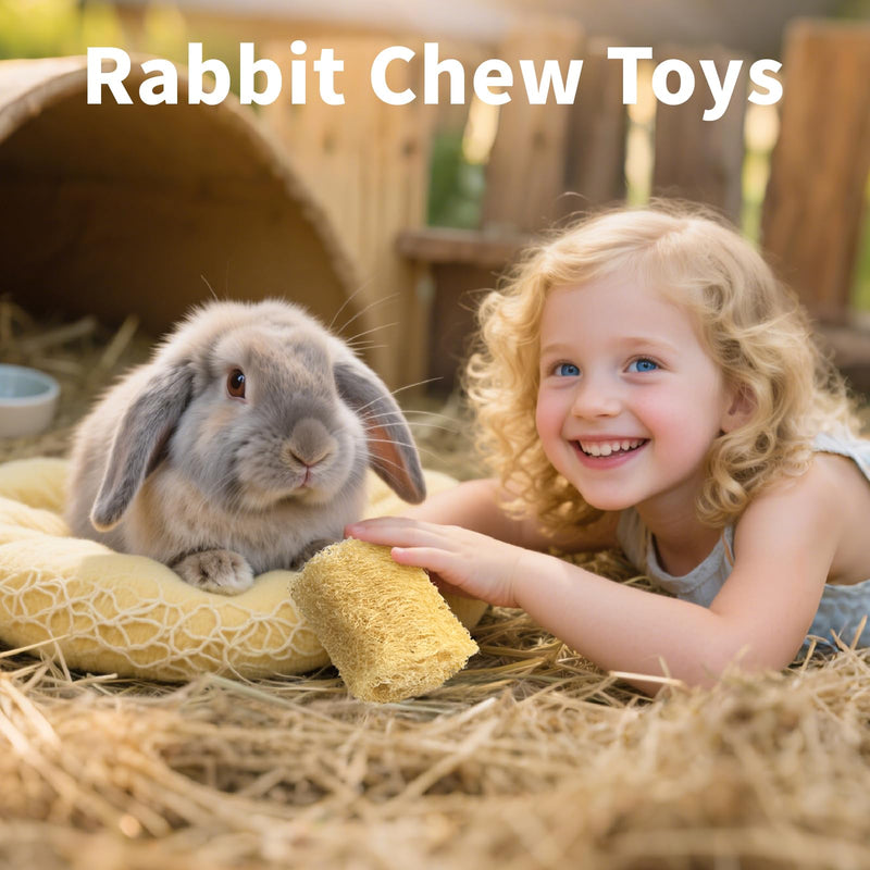 3 PCS Rabbit Chew Toys,100% Natural Loofah Without Additives,Bunny Chew Toys for Teeth,Fiber-Rich Rabbit Treats for Bunny Chinchilla Dogs 3 ps - PawsPlanet Australia
