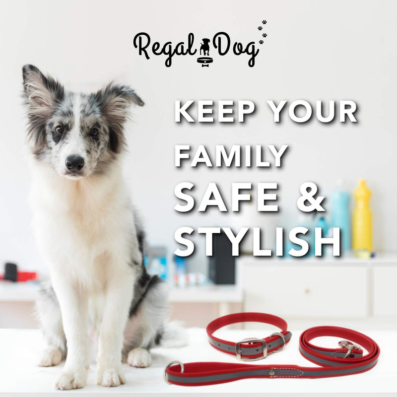Regal Dog Products Large Red Reflective Dog Collar and Leash Set - Waterproof Biothane Dog Collar with Heavy Duty Double Buckle, D Ring & 5ft Leash - Other Size for Medium & Large Dog Large Collar and Leash - PawsPlanet Australia