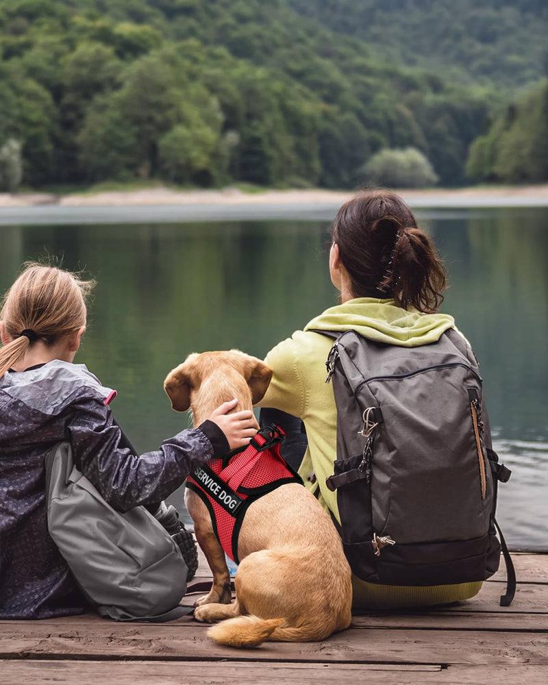 FAYOGOO Service Dog Vest for Small Breed - Lightweight Dog Harness with 6PCS Removable Patches - Puppy Harness and Leash Set for Walking,Training Red S(Chest 12''-14'')