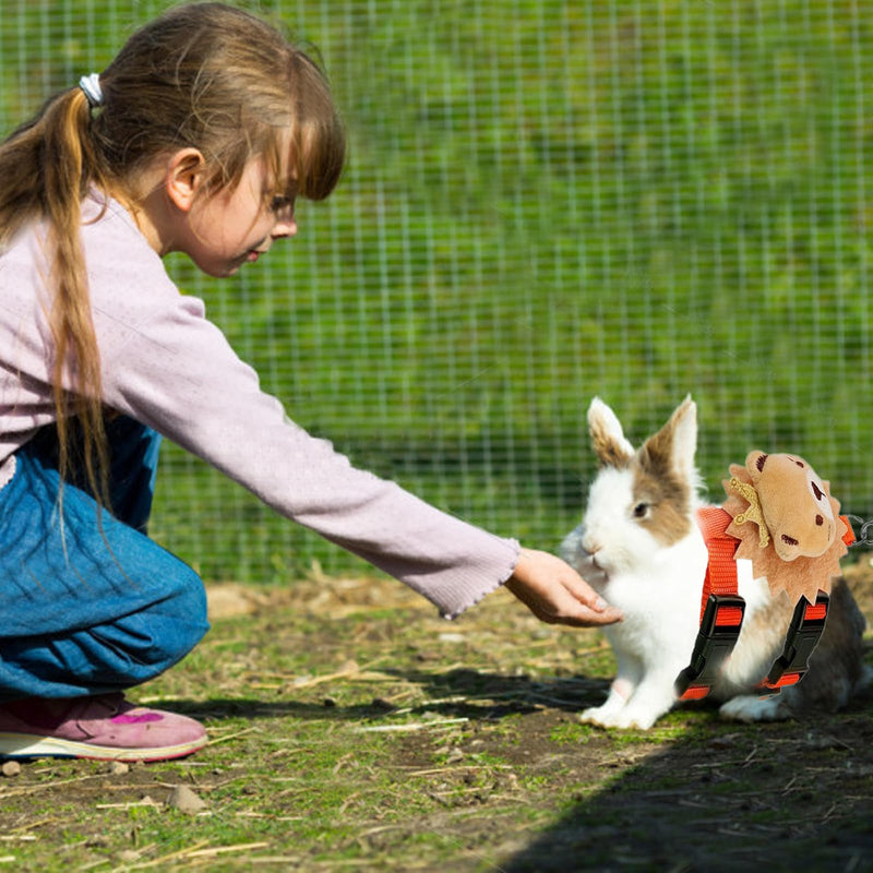 Set of 4 Adjustable Rabbit Harness and Leash for Small Pets, Ferret Leash with Decorations for Rabbit, Kitten, Puppy - PawsPlanet Australia
