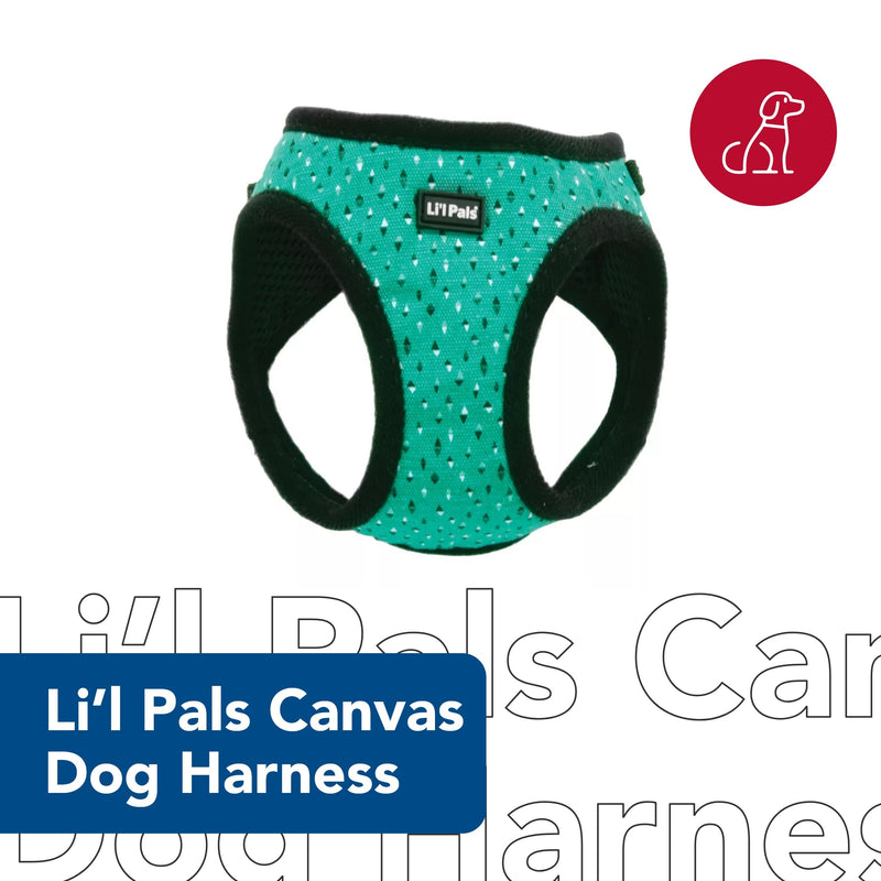 Coastal - Li'l Pals Canvas Dog Harness - Teal and Grey Diamonds - 3/8" x 10"-12" - PawsPlanet Australia