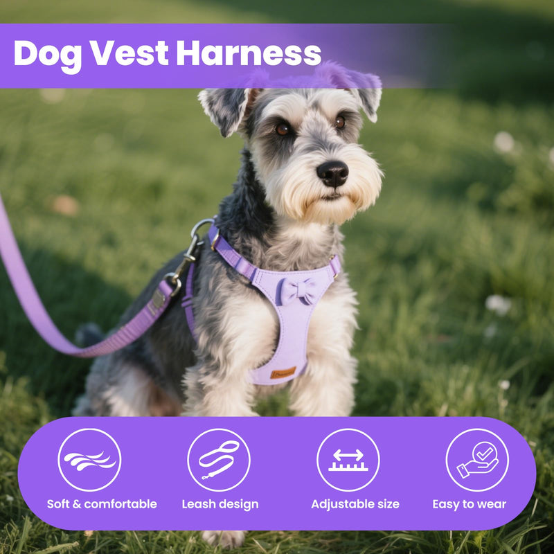 Dog Vest Harness Collar and Leash Set, No Pull Pet Vest Harnesses with 4.9ft Leash & Safety Buckle, Adjustable Dog Vest Harness Leashs for Small Medium Dogs Puppy Cats Training Walking (Purple XXS) Purple XXS - PawsPlanet Australia