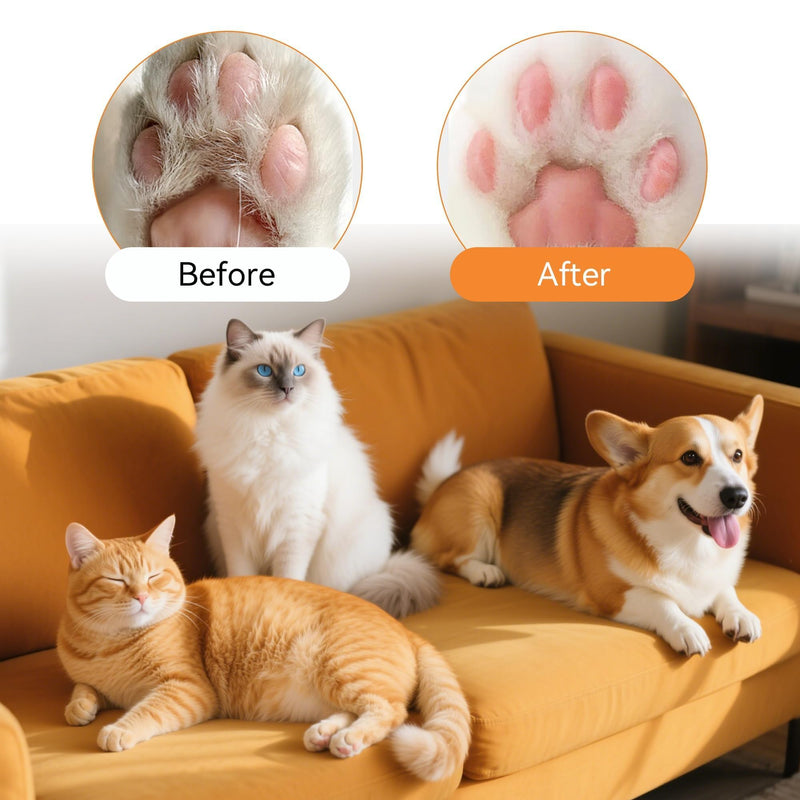 Dog Paw Hair Trimmer, Paw Trimmers for Dog's Feet, Rechargeable, Waterproof, Spare Blade, LED Display, Suitable for Cats & Dogs, Shaver for Paws Eyes Ears Face Buttocks, Dog Grooming Clippers - PawsPlanet Australia