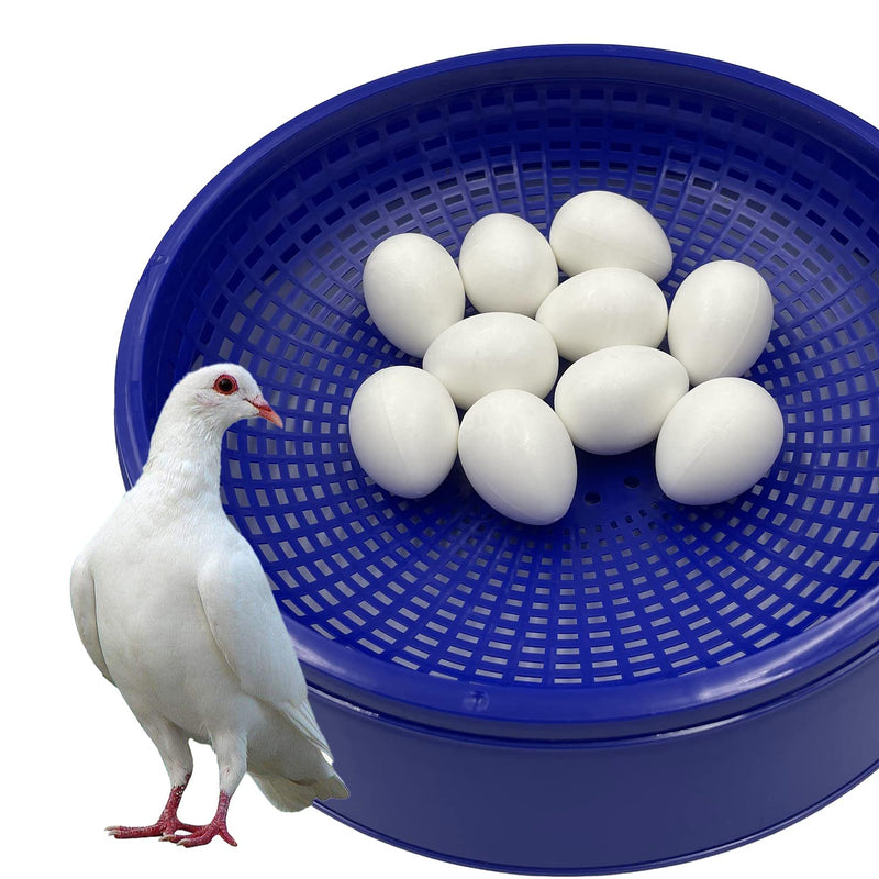10pcs Solid Plastic Pigeon Eggs Fake Eggs for Racing Pigeons Hatching Supplies - PawsPlanet Australia