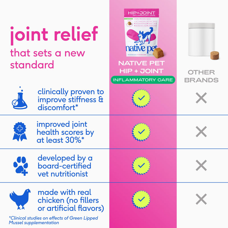 Native Pet Inflammatory Care - Pain Relief for Dogs - Green-Lipped Mussel, Turmeric & Collagen for Dogs - Hip and Joint Supplement Supports Healthy Inflammatory Response & Joint Comfort - 60 Chews 60 Count - PawsPlanet Australia