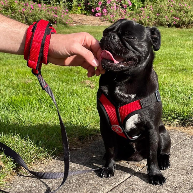 Gooby Soft Mesh Wrist Band Surfer Leash - Flamingo Pink, 6 FT - Comfortable Hands Free Leash with Elastic Band for Small, Medium and Large Dogs Wrist Band-Flamingo Pink 6 Feet