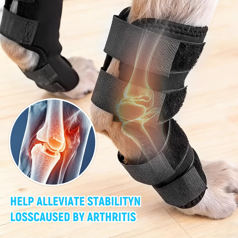 Ankle Brace for Dogs with Lick Protection, Pack of 2 Hind Leg and Front Leg Bandage for Healing Wounds, Injuries and Sprains, Size M